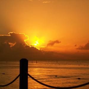 Meet your Posher, George